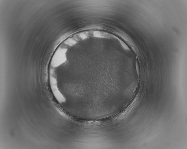 X0000112020858200908311153