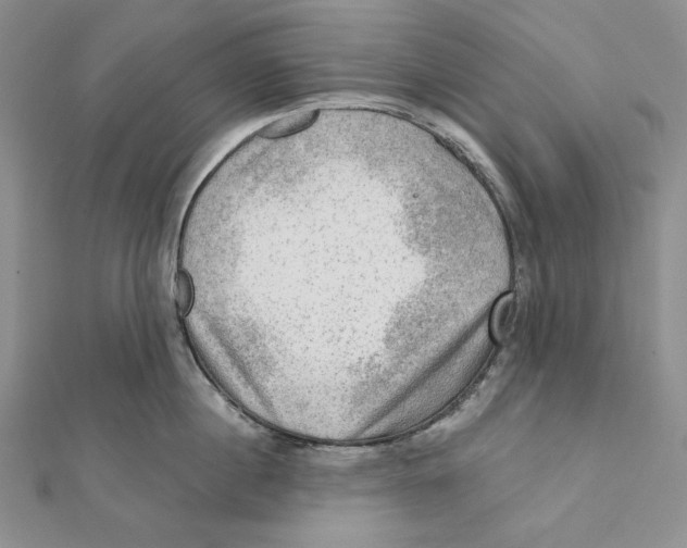 X0000112020860200908311153