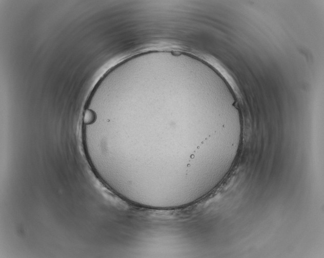 X0000112020861200908311153