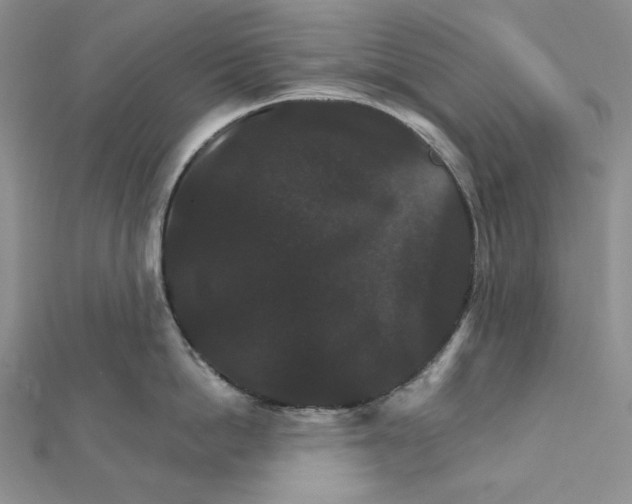 X0000112020862200908311153