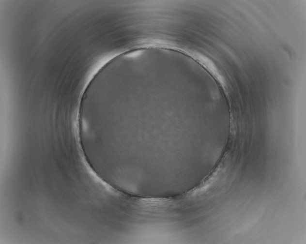 X0000112020863200908311153