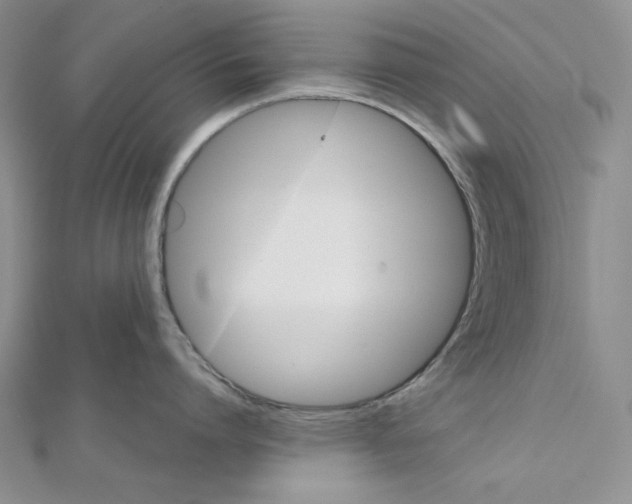 X0000112020864200908311153