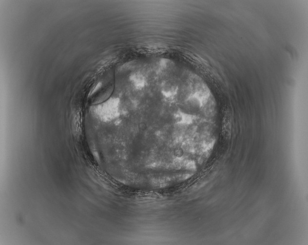 X0000112020866200908311152