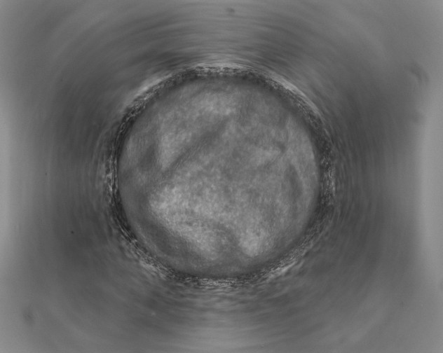 X0000112020870200908311152