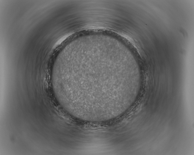 X0000112020871200908311152