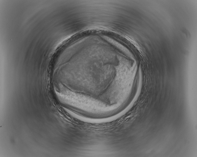 X0000112020872200908311152