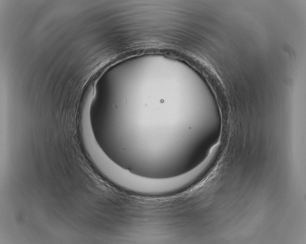 X0000112020873200908311152