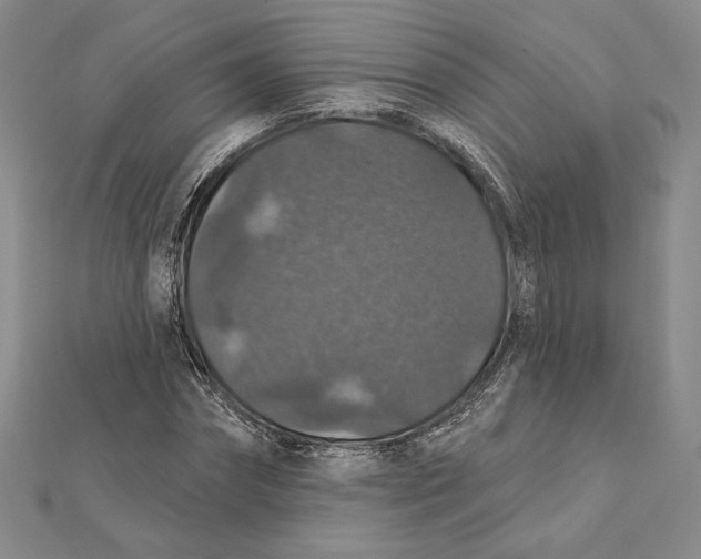 X0000112020874200908311152