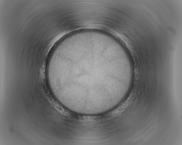 X0000112020875200908311152