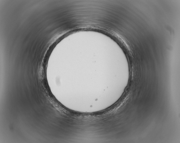 X0000112020876200908311152