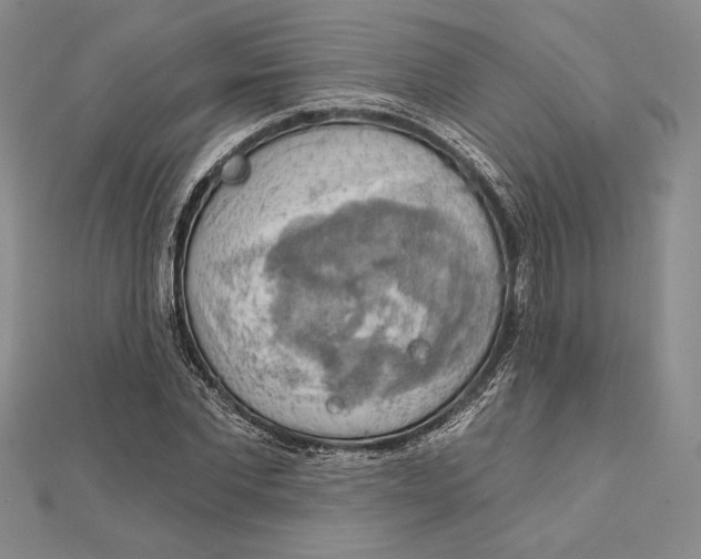 X0000112020877200908311152