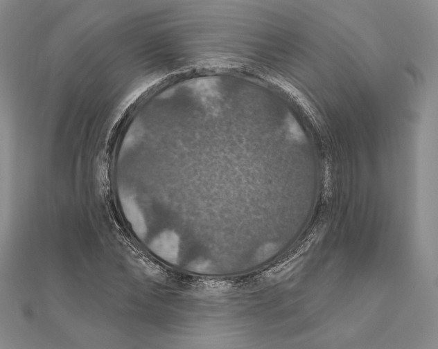 X0000112020878200908311152