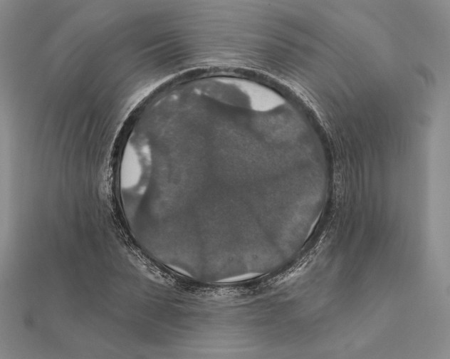 X0000112020879200908311152