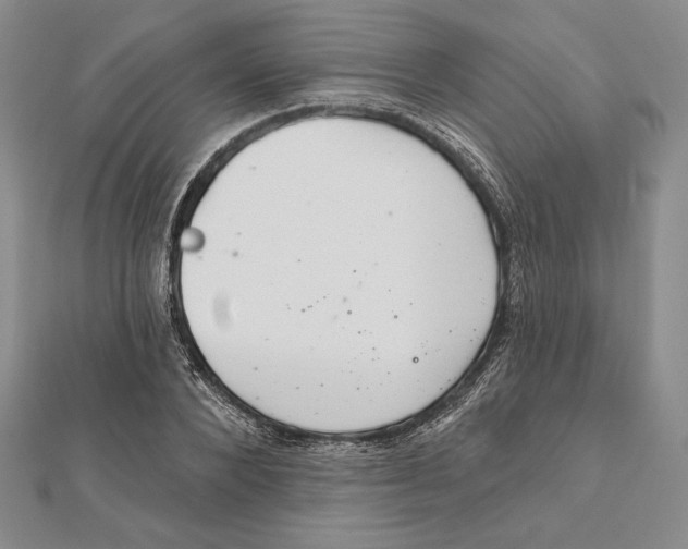 X0000112020880200908311152