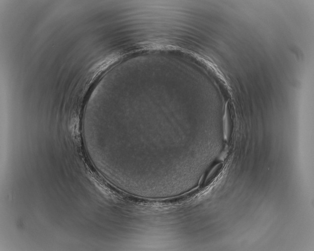 X0000112020881200908311152