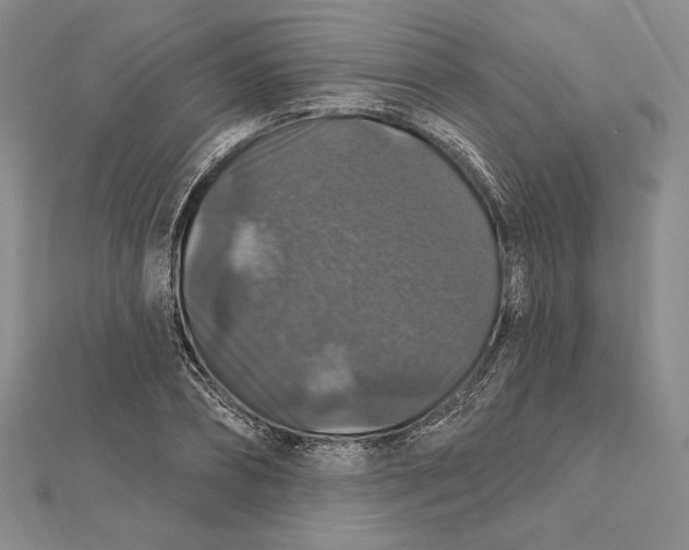 X0000112020882200908311152