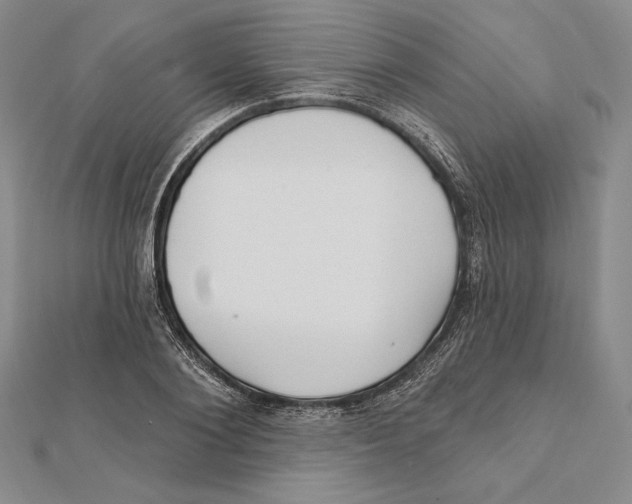 X0000112020884200908311152