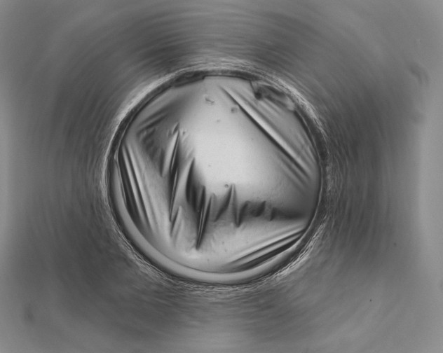 X0000112020885200908311152