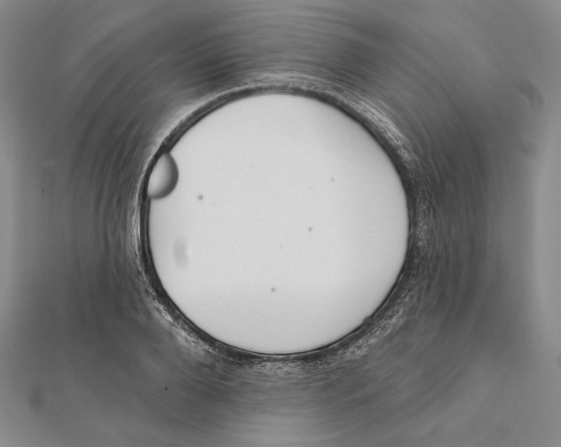 X0000112020888200908311152