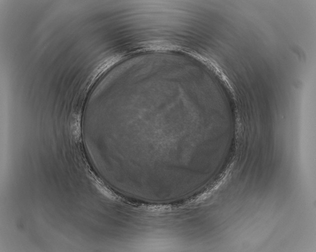 X0000112020889200908311152