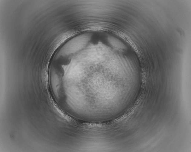 X0000112020890200908311152