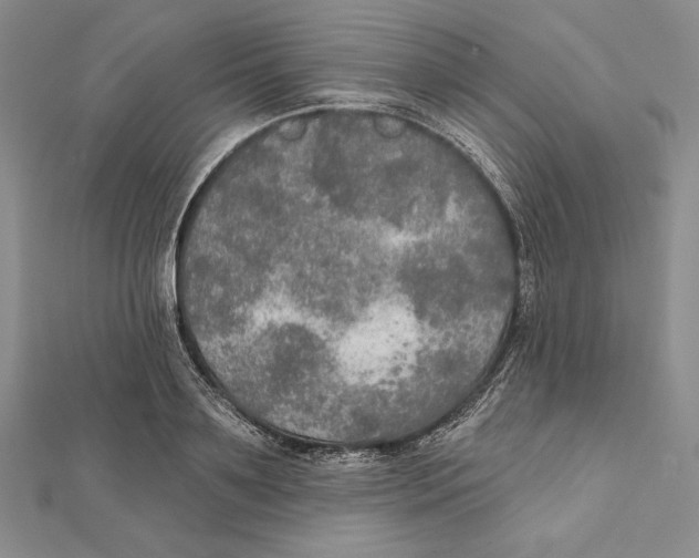 X0000112020891200908311152