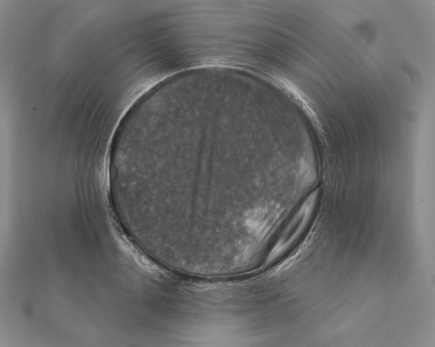 X0000112020892200908311152