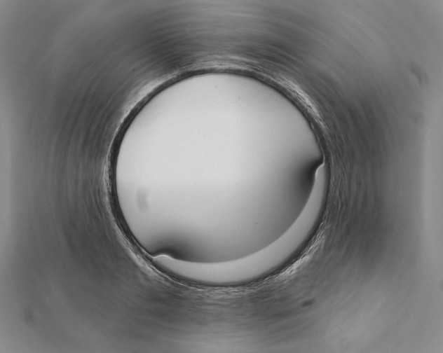 X0000112020893200908311152