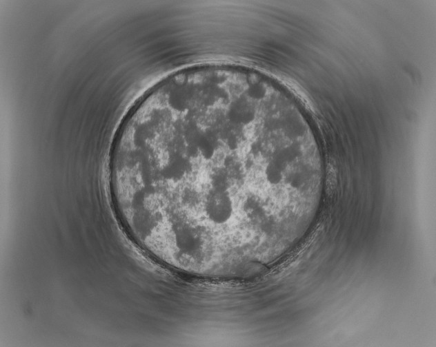 X0000112020895200908311152