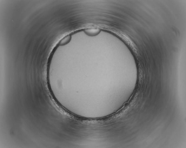 X0000112020896200908311152