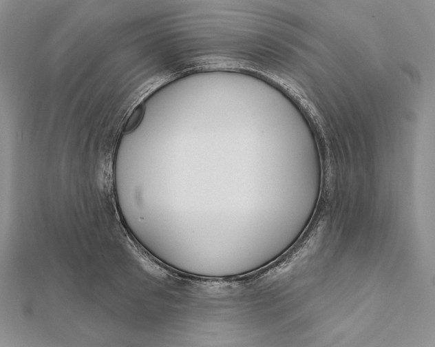 X0000112020897200908311152