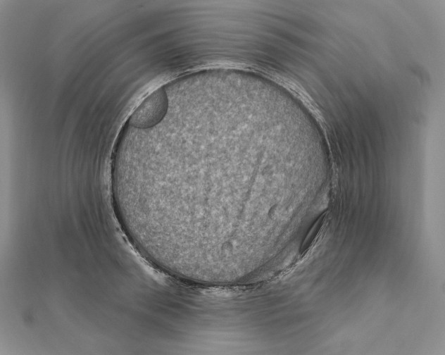 X0000112020898200908311152