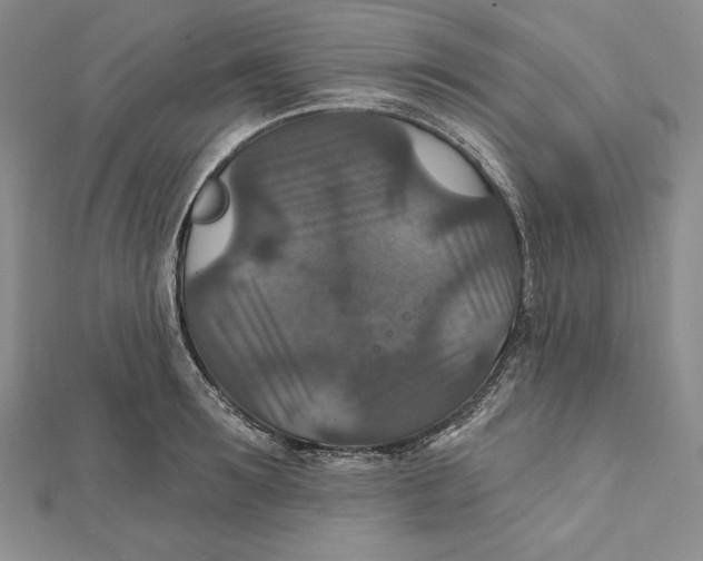 X0000112020899200908311152