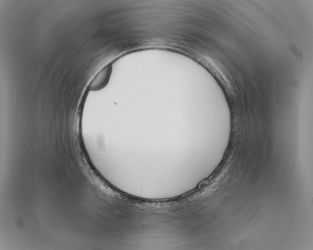 X0000112020900200908311152