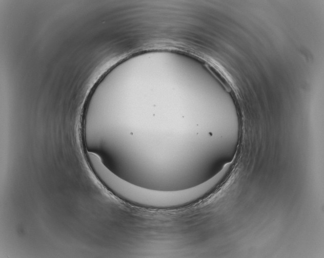 X0000112020901200908311152