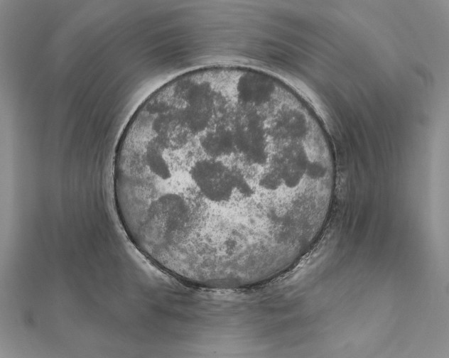 X0000112020903200908311152