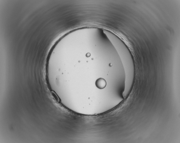 X0000112020904200908311152