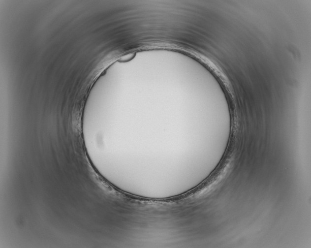 X0000112020905200908311152