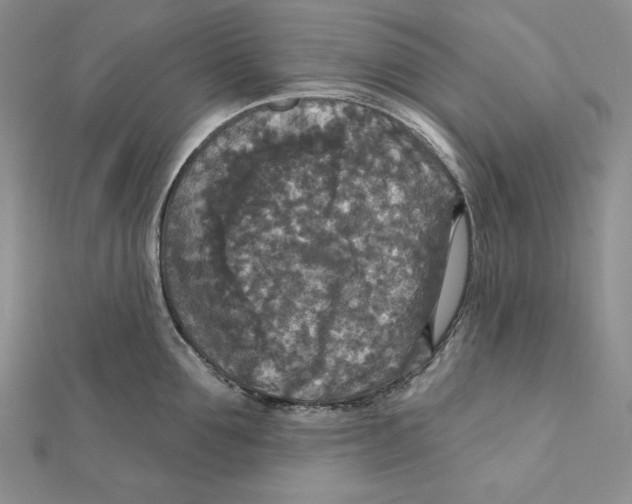 X0000112020907200908311152