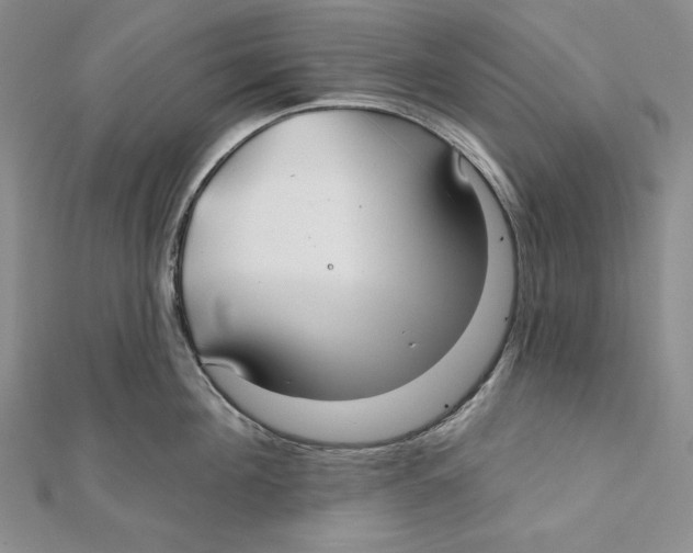 X0000112020908200908311152