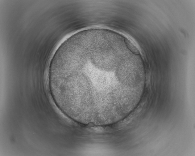 X0000112020911200908311152