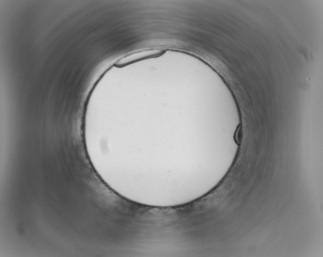 X0000112020912200908311152