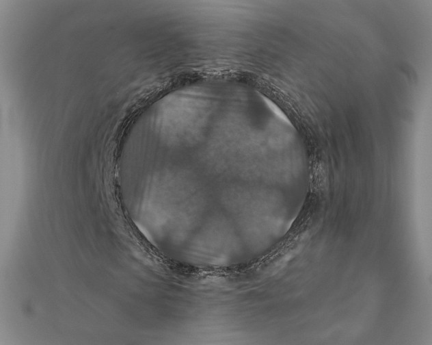 X0000112020913200908311151