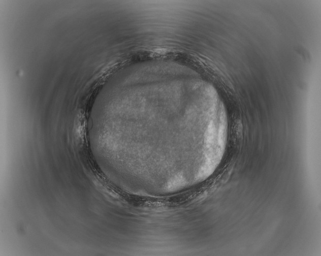 X0000112020914200908311151