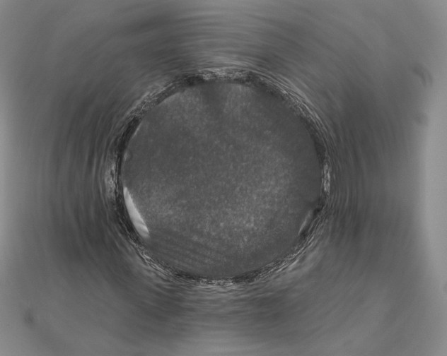 X0000112020915200908311151