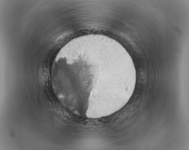 X0000112020918200908311151