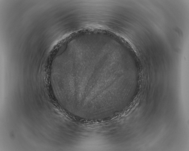 X0000112020919200908311151