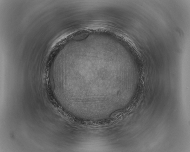 X0000112020920200908311151