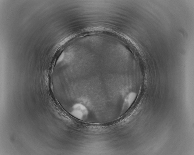 X0000112020921200908311151