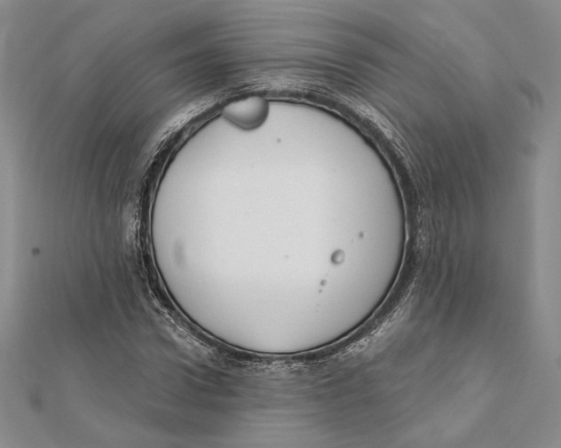 X0000112020922200908311151